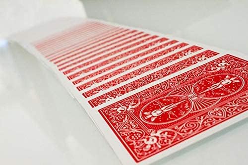 Bicycle Playing Card Decks,Standard Face - Shoppers-kart.com