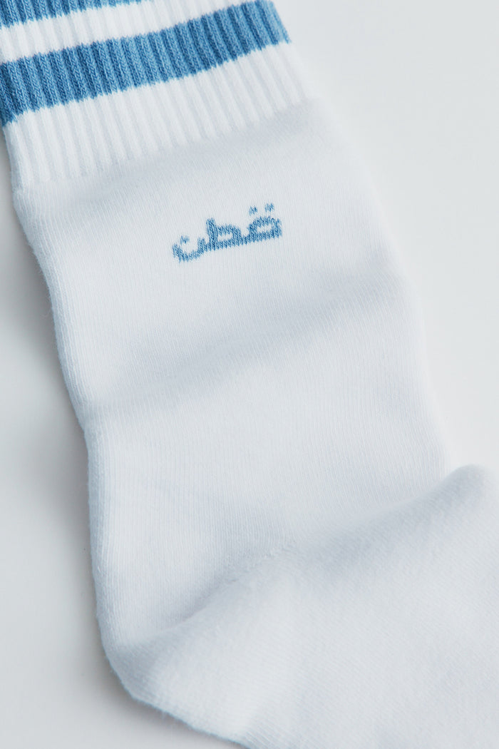 Crew Socks in Columbia Stripe