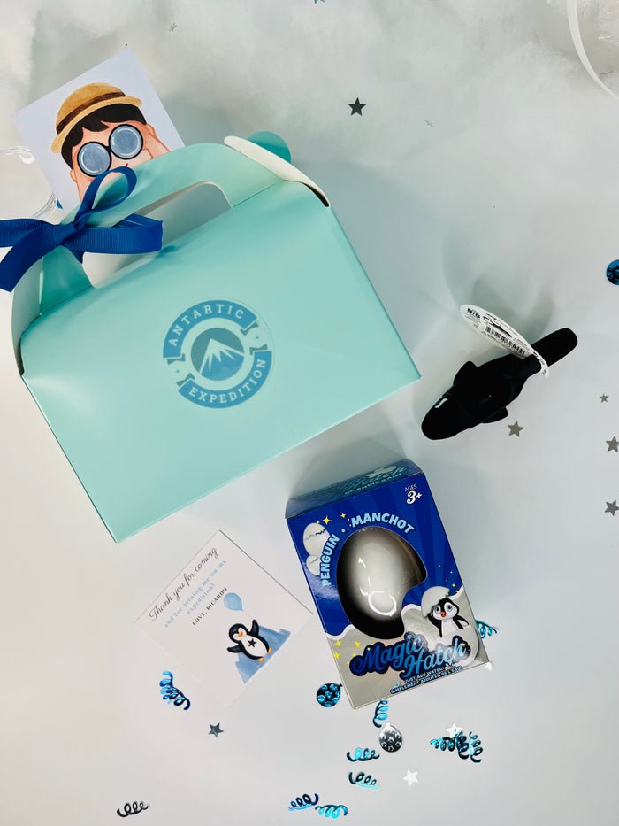 Antarctica Expedition Party Favors