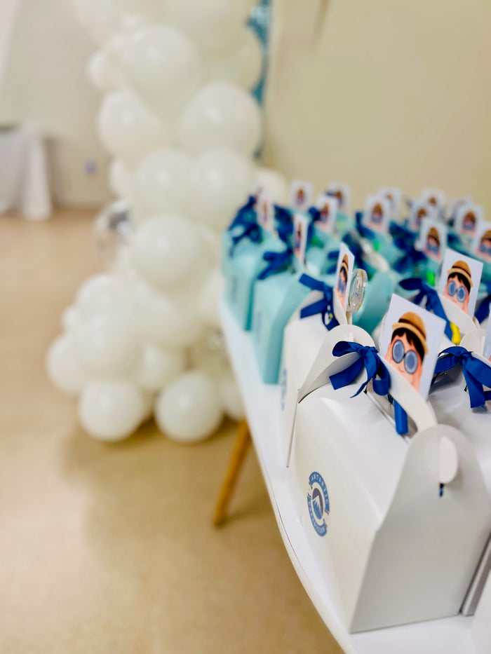 Antarctica Expedition Party Favors