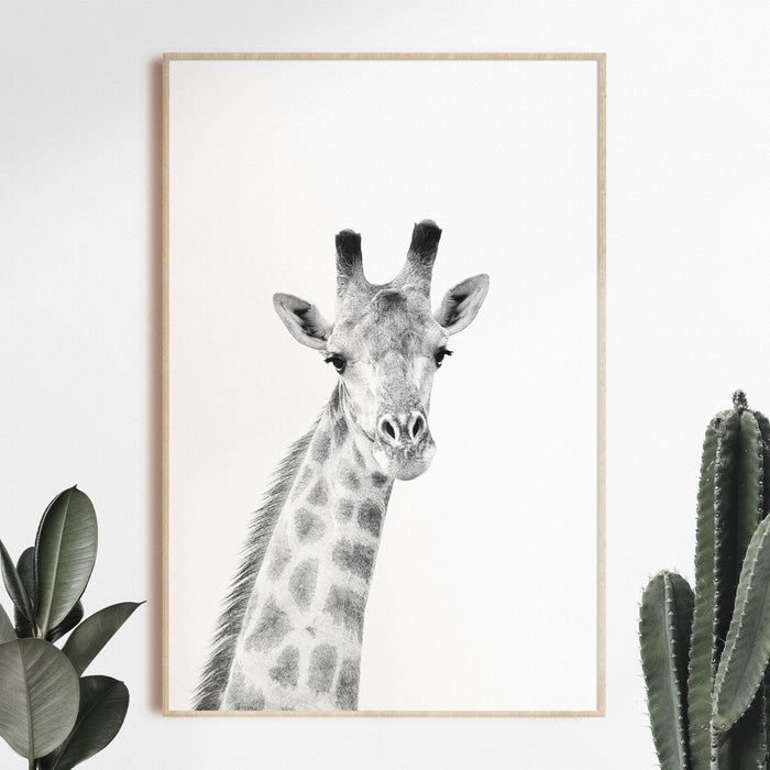 Black & White Giraffe Hahnemühle Print