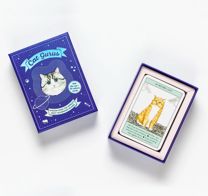 Cat Gurus Oracle Cards