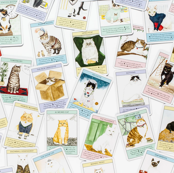 Cat Gurus Oracle Cards