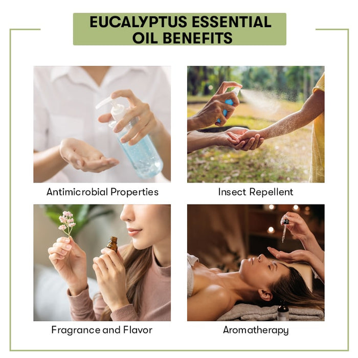 Eucalyptus Essential Oil Benefits