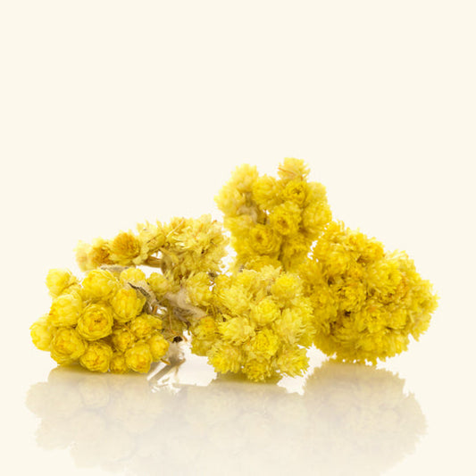 Helichrysum Essential Oil