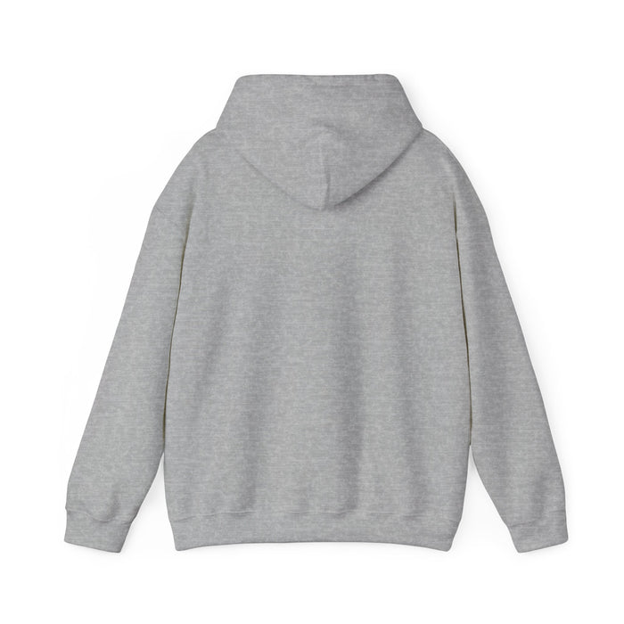 HOODIE | GRAY