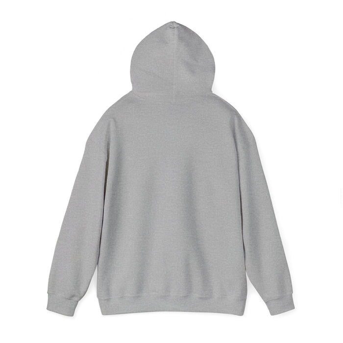 HOODIE | GRAY