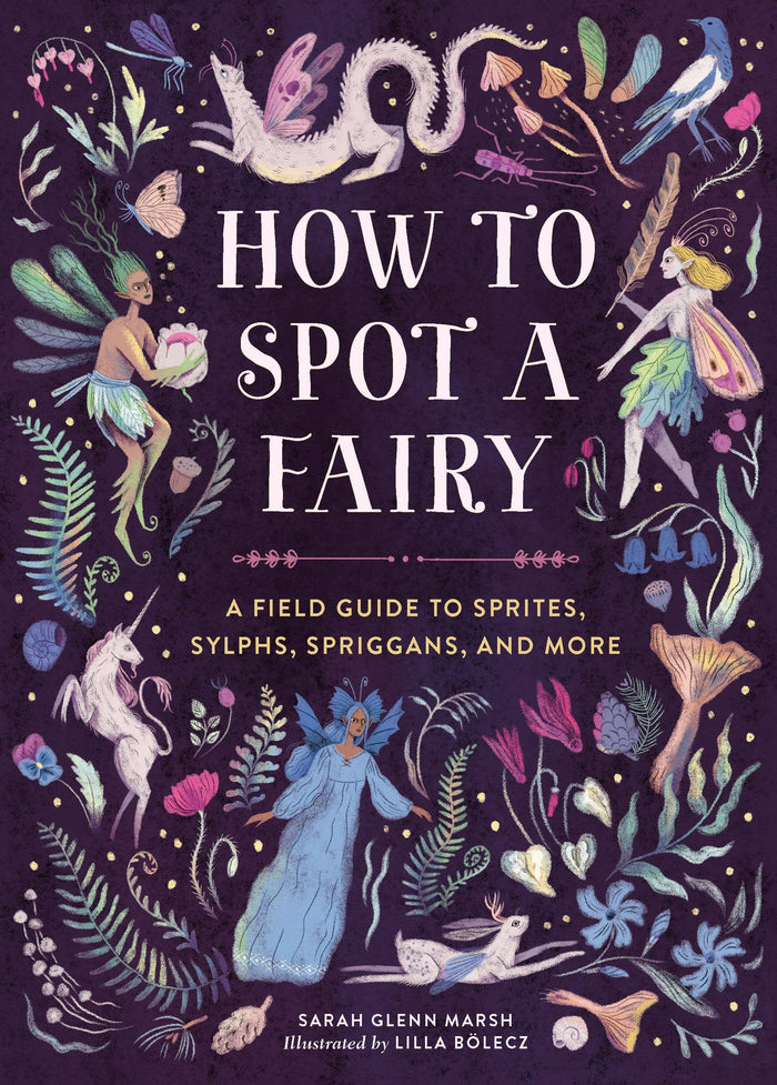 How to Spot a Fairy: Paper Over Board