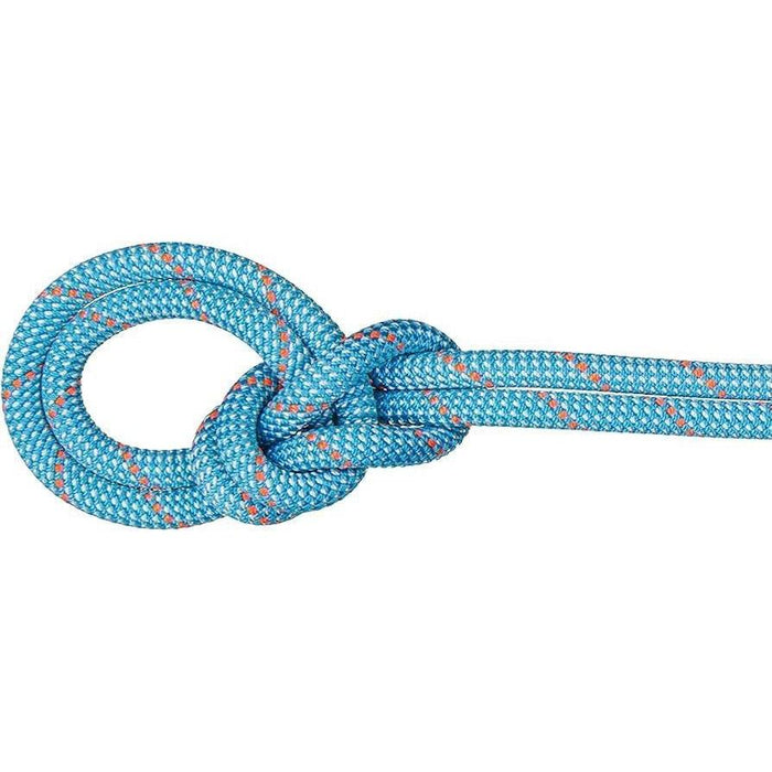 MAMMUT 9.8 Crag CLASSIC Rope