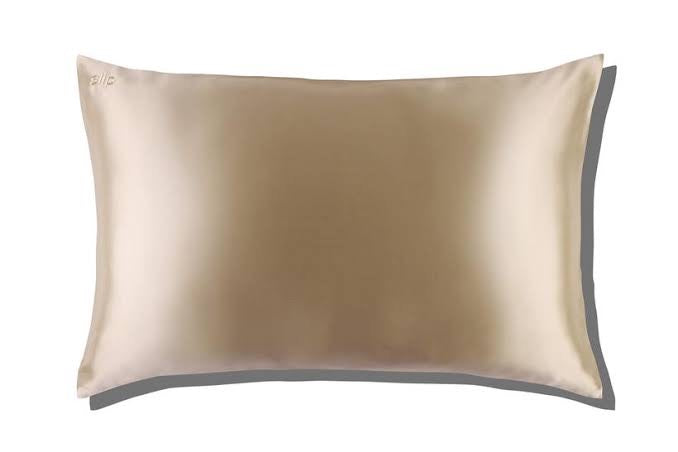 20” x 30”/51cm x 76cm/Queen/Standard / Caramel