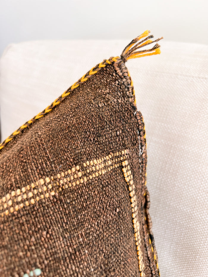 Artisanal Handmade Moroccan embroidered cactus silk sabra pillow brown handwoven