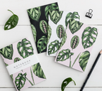 The Tropics Birthday Favors